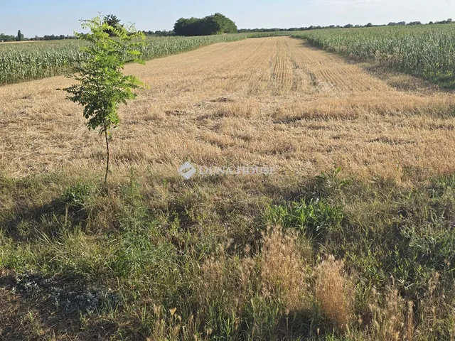 Eladó telek Dabas 10581 nm
