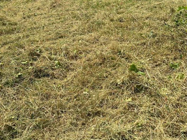 Eladó telek Pilisvörösvár, Pilisvörösvár eladó építési telek 1475 nm