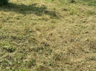 Eladó telek Pilisvörösvár 1475 nm