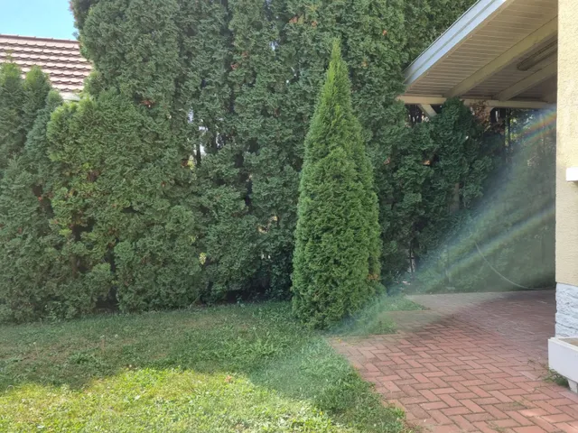 Eladó ház Pilisvörösvár 220 nm