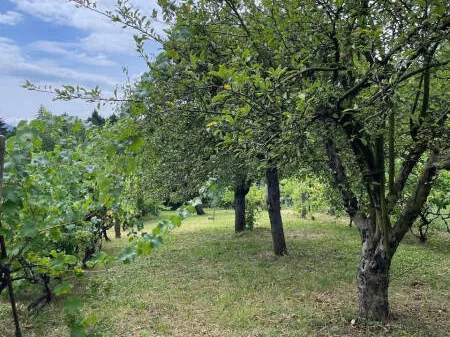 Eladó ház Pilisvörösvár 65 nm