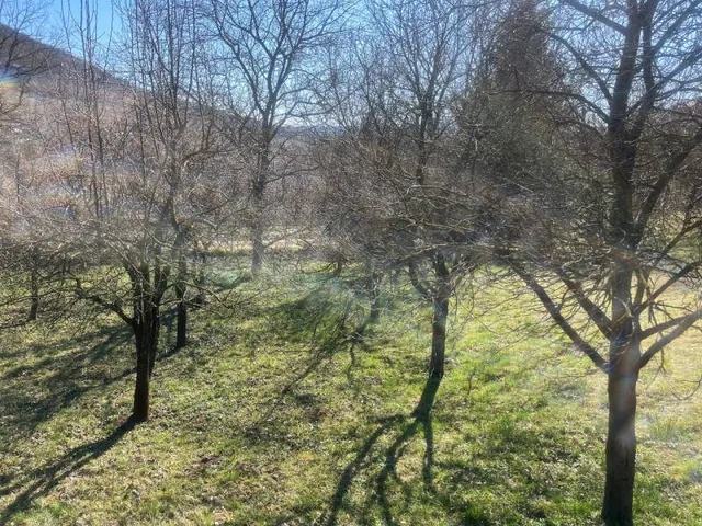 Eladó telek Pilisjászfalu 1835 nm