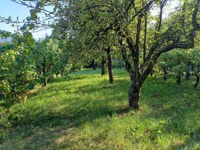 Eladó ház Pilisvörösvár 65 nm