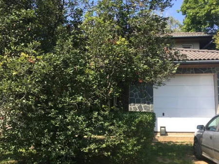 Eladó ház Piliscsaba 217 nm