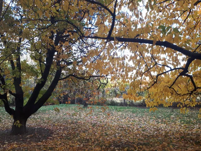 Eladó telek Pilisszentkereszt 3204 nm