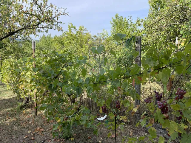 Eladó üdülő és hétvégi ház Pilisszántó 20 nm