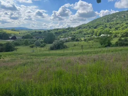 Eladó telek Piliscsaba 1044 nm