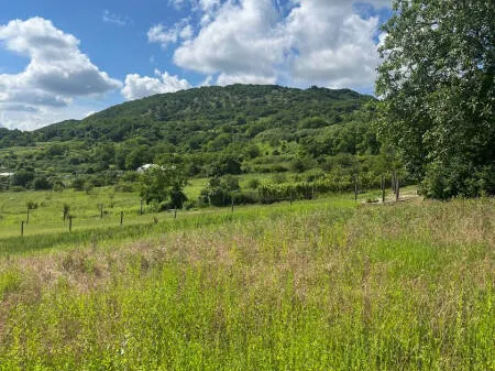 Eladó telek Piliscsaba 1044 nm