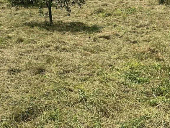 Eladó telek Pilisvörösvár 1475 nm