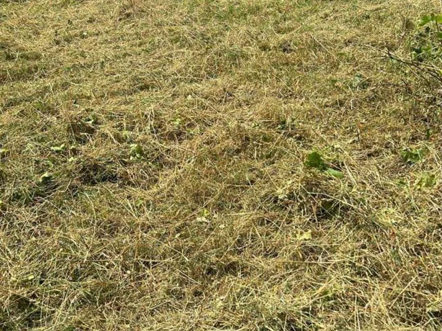 Eladó telek Pilisvörösvár 1475 nm