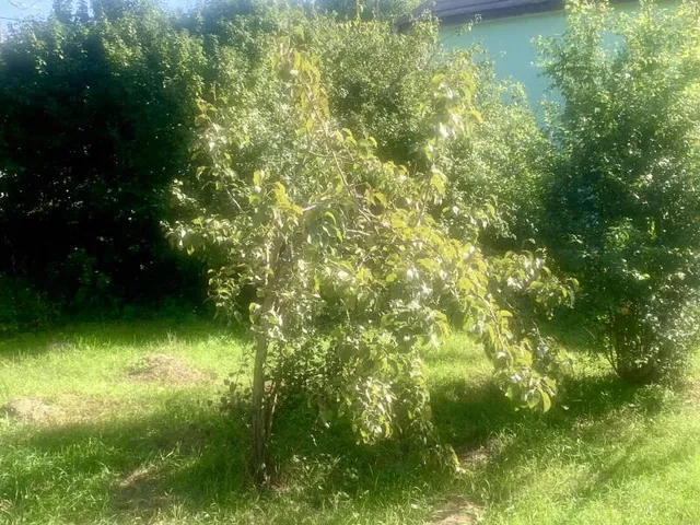 Eladó ház Piliscsév 82 nm