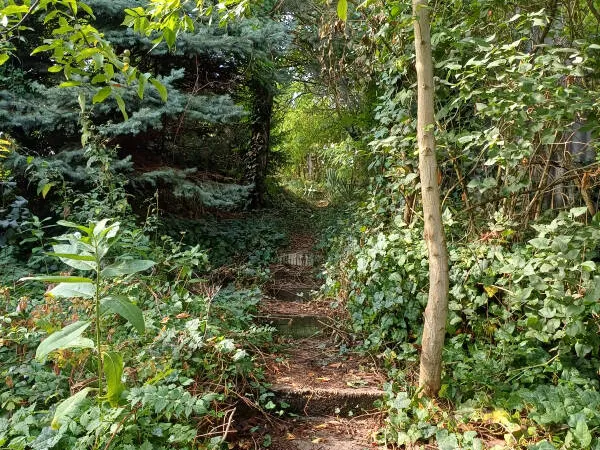 Eladó ház Pilisvörösvár 50 nm