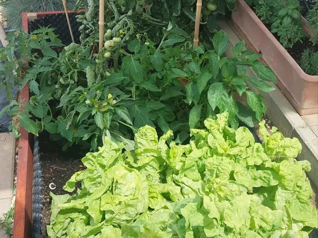 Eladó ház Pilisjászfalu 65 nm