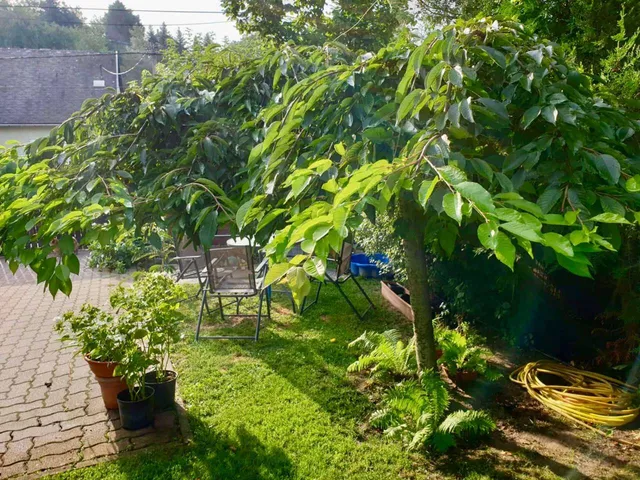 Eladó ház Pilisjászfalu 140 nm