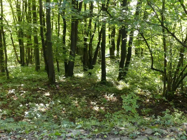 Eladó ház Pilisszentkereszt 65 nm