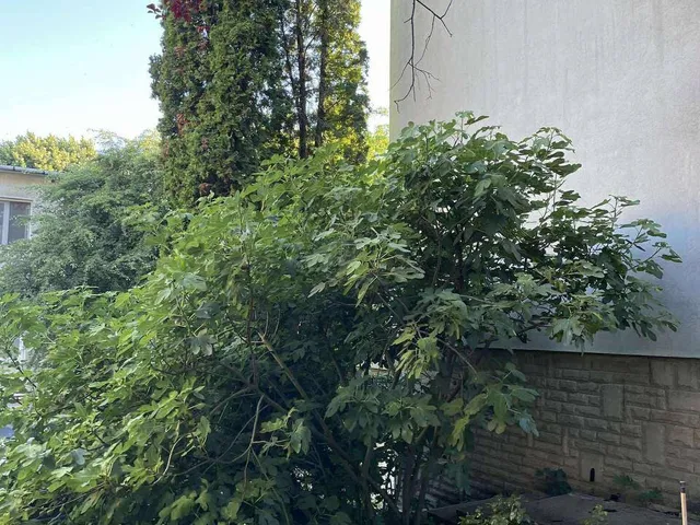 Eladó lakás Pilisvörösvár 61 nm