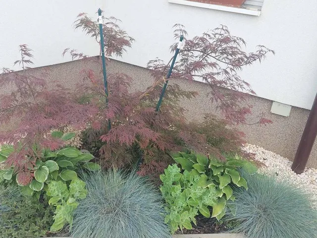 Eladó ház Pilisjászfalu 65 nm