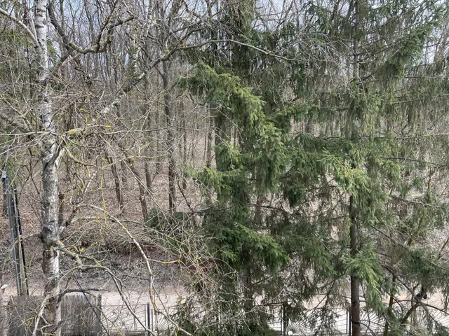 Eladó ház Piliscsaba 200 nm