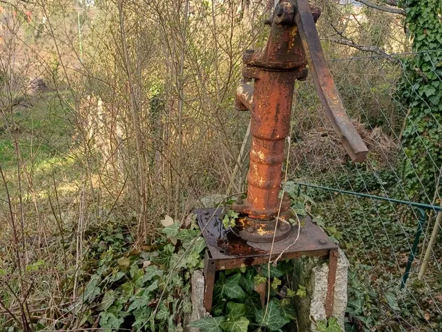 Eladó mezőgazdasági ingatlan Pilisvörösvár 15 nm