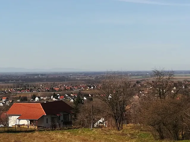 Eladó mezőgazdasági ingatlan Siklós 5000 nm