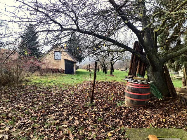 Eladó mezőgazdasági ingatlan Szentgyörgyvár 35 nm