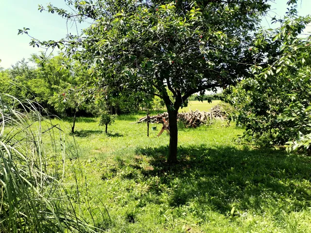 Eladó ház Hollád 80 nm