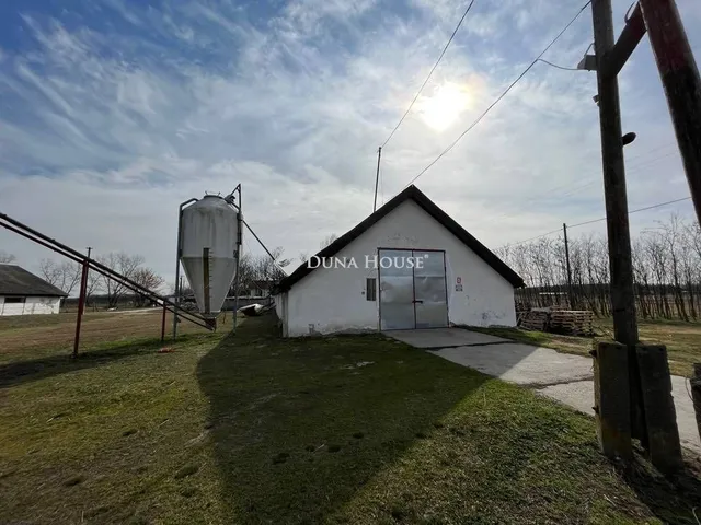 Eladó mezőgazdasági ingatlan Szank 1967 nm
