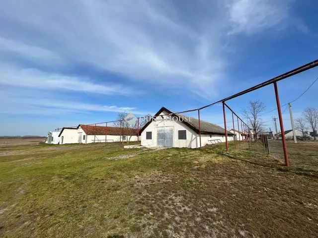 Eladó mezőgazdasági ingatlan Szank 1967 nm