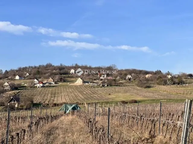 Eladó mezőgazdasági ingatlan Dörgicse 6938 nm