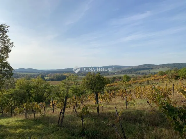 Eladó telek Pécsely 1538 nm