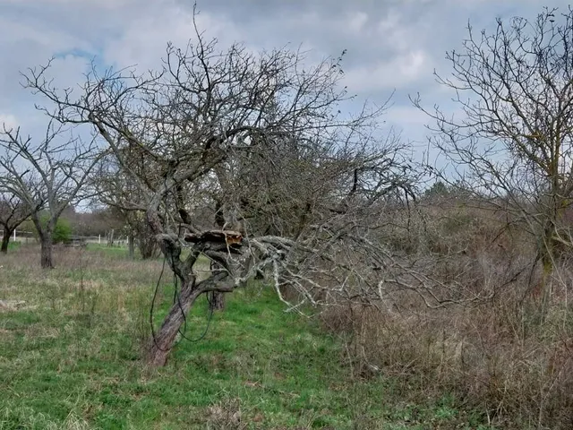 Eladó telek Aszófő 2054 nm