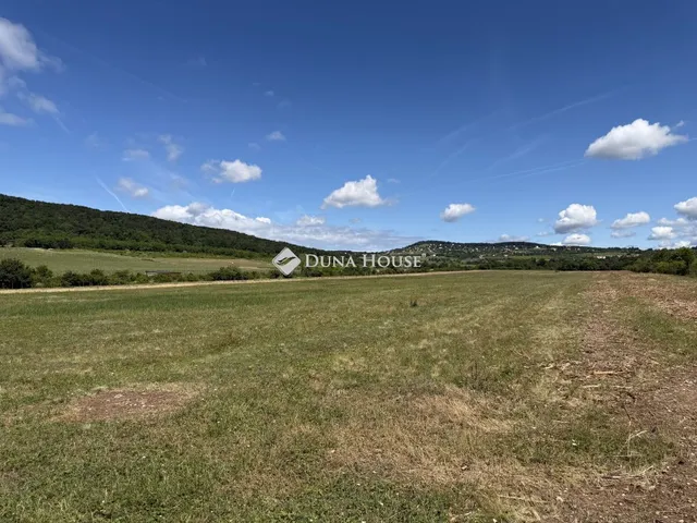 Eladó telek Dörgicse 38500 nm