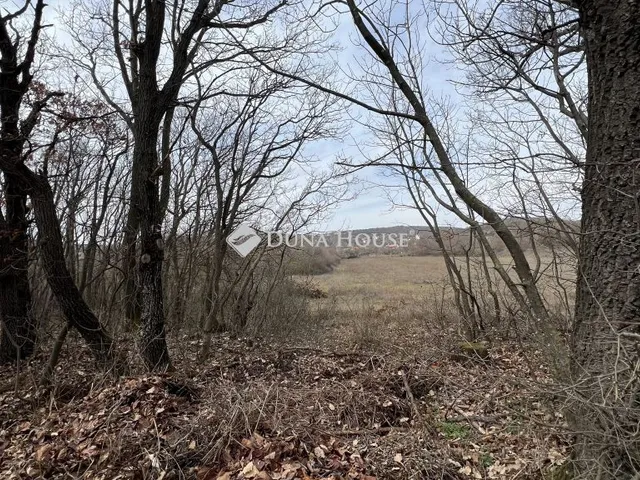 Eladó telek Balatonudvari 2877 nm
