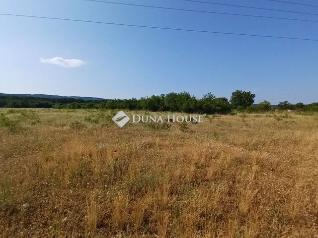 Eladó mezőgazdasági ingatlan Balatonudvari 19409 nm