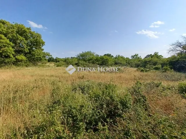 Eladó mezőgazdasági ingatlan Balatonudvari 7774 nm