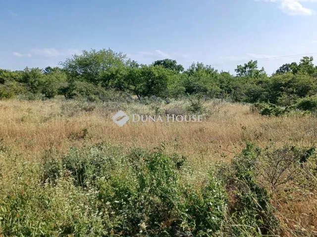Eladó mezőgazdasági ingatlan Balatonudvari 7774 nm