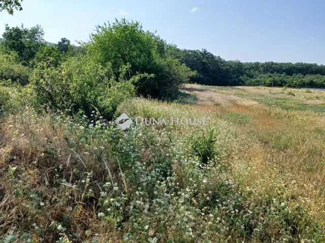 Eladó mezőgazdasági ingatlan Balatonudvari 7774 nm