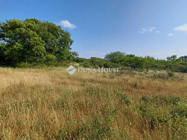 Eladó mezőgazdasági ingatlan Balatonudvari 4503 nm