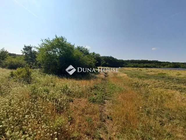 Eladó mezőgazdasági ingatlan Balatonudvari 4503 nm