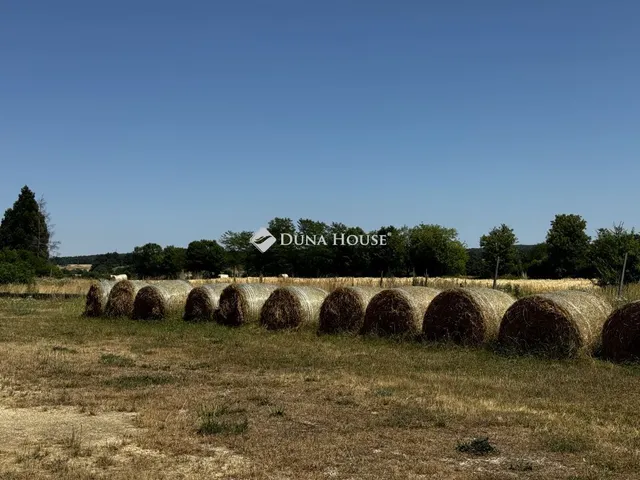 Eladó mezőgazdasági ingatlan Nagyvázsony 13520 nm