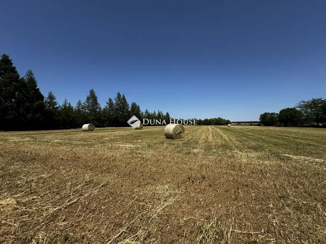 Eladó mezőgazdasági ingatlan Nagyvázsony 13520 nm