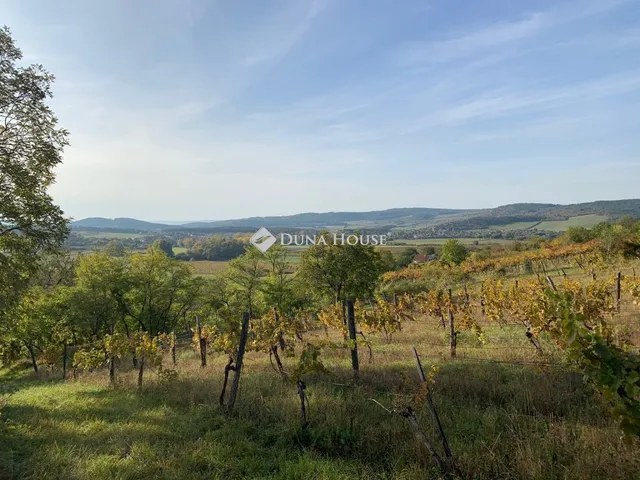 Eladó telek Pécsely 26509 nm