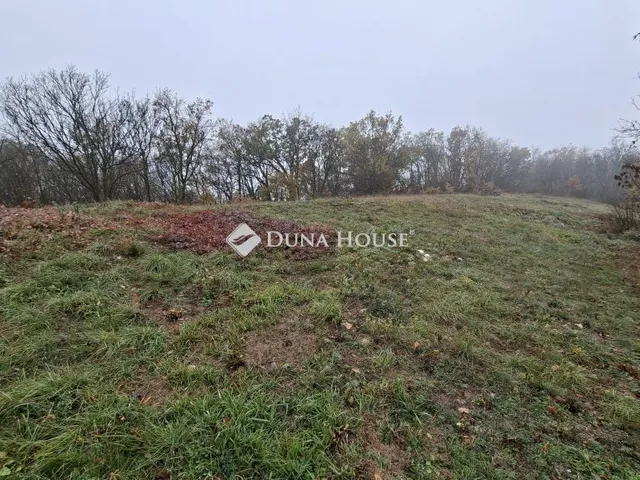 Eladó telek Balatonszőlős 1783 nm