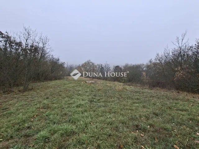 Eladó telek Balatonszőlős 1342 nm