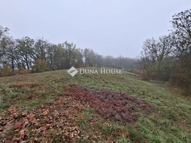 Eladó telek Balatonszőlős 1342 nm