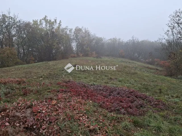 Eladó telek Balatonszőlős 1286 nm