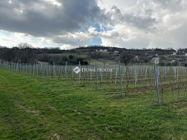 Eladó telek Pécsely 15000 nm