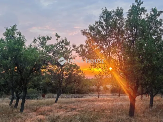 Eladó telek Aszófő 7207 nm