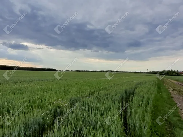 Eladó telek Vámosgyörk