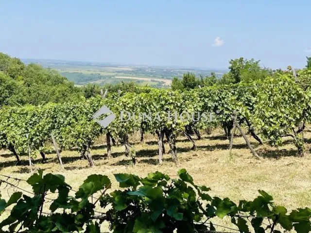 Eladó telek Szekszárd 2741 nm